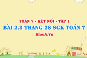 Bài 2.3 trang 28 SGK Toán 7 tập 1 Kết nối tri thức